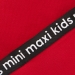 Спортивный костюм для мальчиков Mini Maxi, модель 7303, цвет красный/черный/серый 