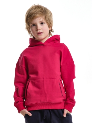 Джемпер для мальчиков Mini Maxi, модель 77332, цвет красный